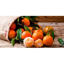 Filet de clémentines 1 kg
