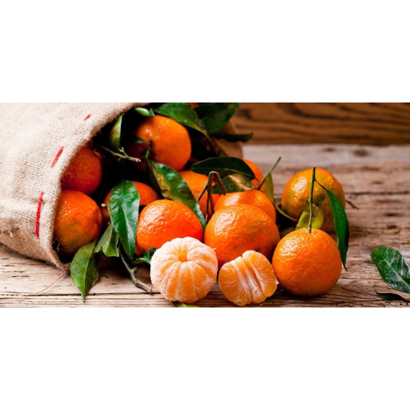 Filet de clémentines 1kg